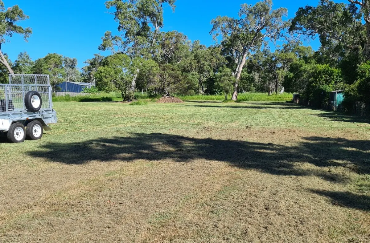 Large section mowed